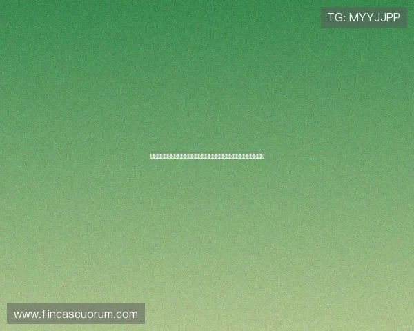 海德体育真人手机版实现多种支付方式,保障用户资金安全与快速入款体验 海德体育真人手机版实现多种支付方式,保障用户资金安全与快速入款体验